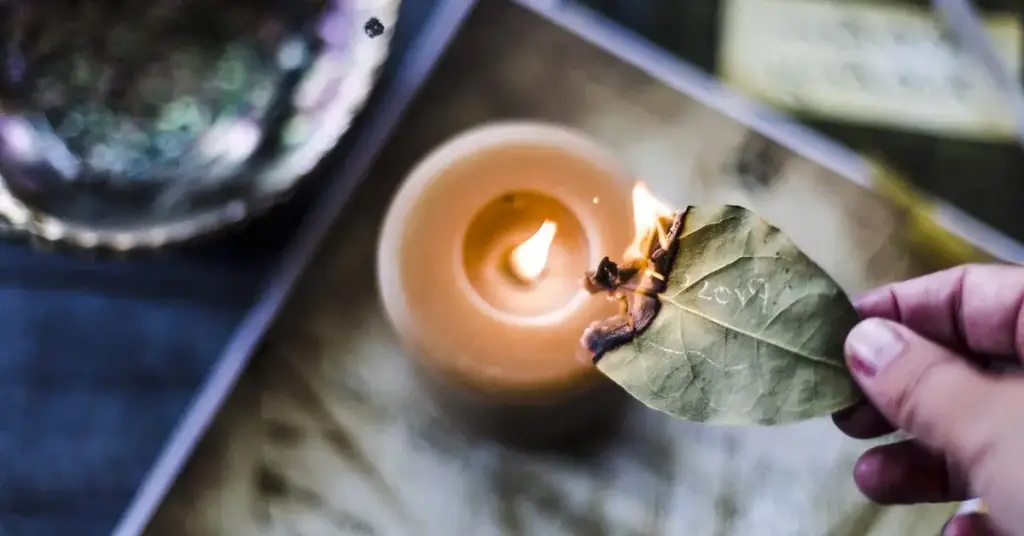 ¿Por qué es importante quemar hojas de laurel en casa? ideas manualidades