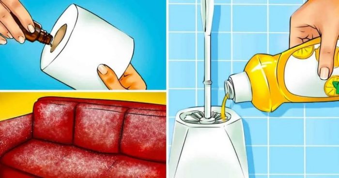 6 formas de eliminar los malos olores de la casa – ideas manualidades